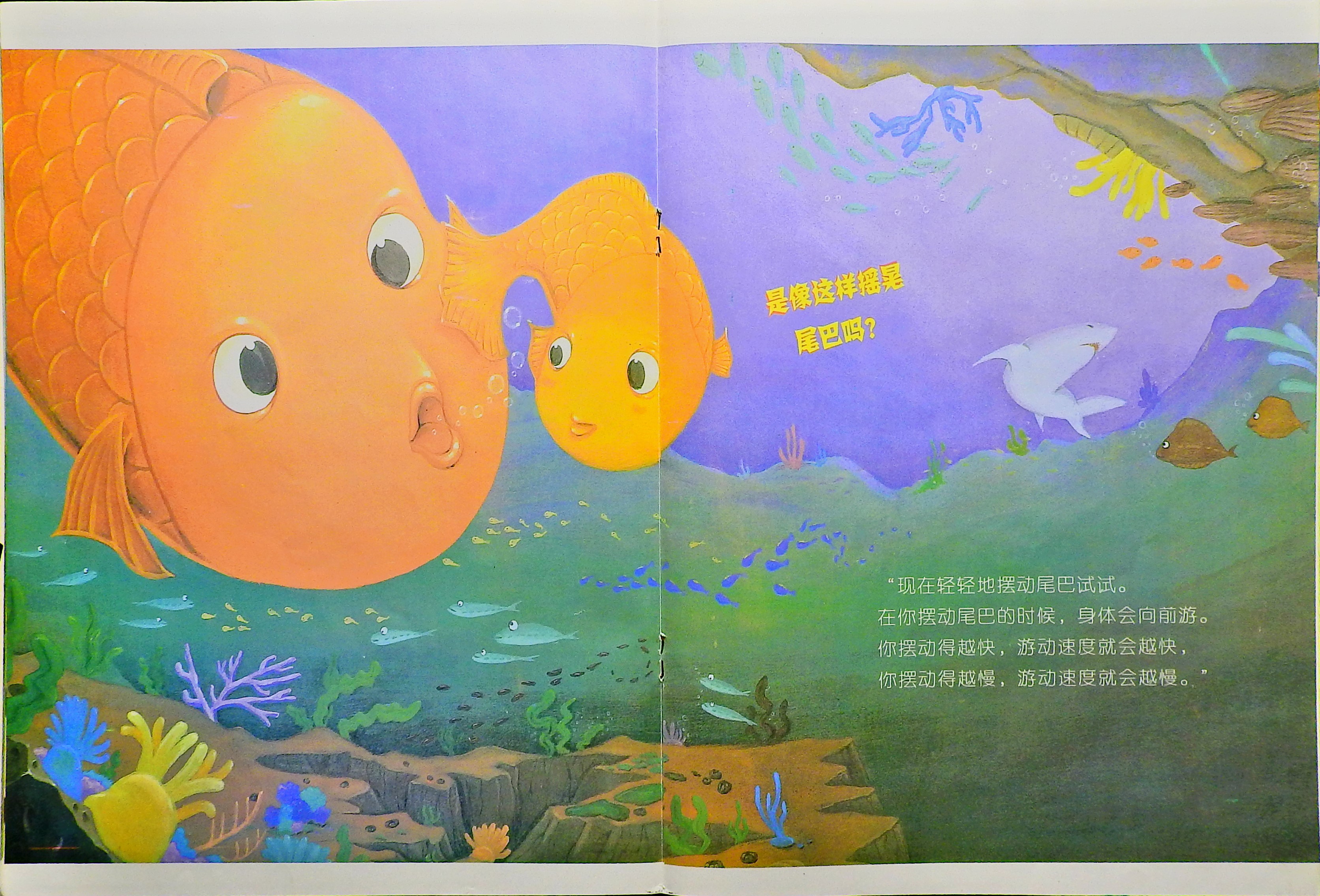 小鱼快跑 (08),绘本,绘本故事,绘本阅读,故事书,童书,图画书,课外阅读
